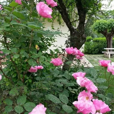 Casetta In Campagna Cassino